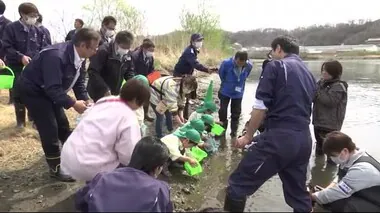 閉伊川にサケの稚魚３万匹放流　子どもたち３３０人「元気に帰ってきてね」＜岩手・宮古市＞