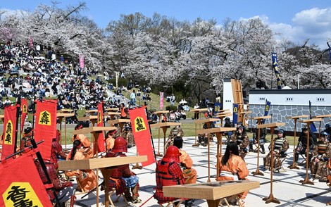 満開の桜の下でいざ勝負　人間将棋、女流棋士が熱戦　山形・天童