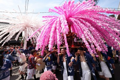 花みこし、町を桜色に　「総練り」5年ぶり復活　岐阜・美濃まつり