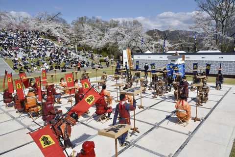 満開の桜の下、人間将棋　駒生産日本一の山形・天童