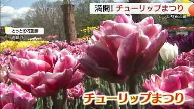 色鮮やかに満開！「とっとり花回廊」でチューリップまつり（鳥取・南部町）