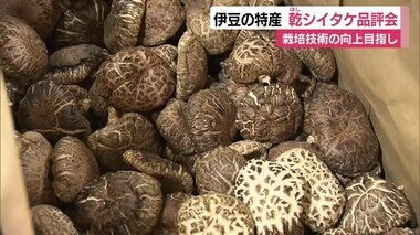 伊豆の名産”乾シイタケ”品評会　栽培技術向上へ　27点を形や色光沢など審査　静岡