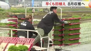 極早生種「おもてなし」一足早い田植え始まる　早ければ８月にも販売へ〈宮城・涌谷町〉