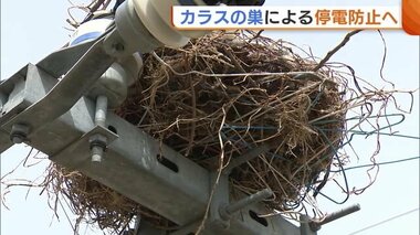 “カラスの巣”による停電防止へ協力を！１年間で約６０００個の巣撤去も「イタチごっこ…」【新潟】