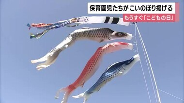 和歌山城にこいのぼり　子供の成長と健康を願い　今年で55回目　園児もお手伝い