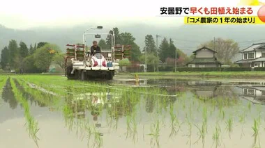 「コメ農家の1年の始まり」安曇野で早くも田植え始まる　3月の低温で1週間ほど遅く　苗の生育は順調