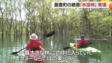 雪解けの時期しか見ることができない白川子・水没林の絶景　カヌー＆ライトアップで楽しむ　山形・飯豊町