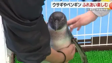 移動動物園　ウサギやペンギンにトカゲ　子供たちがふれあい楽しむ　静岡県