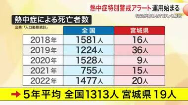 「熱中症“特別”警戒アラート」運用始まる　国を挙げた暑さ対策　私たちが知っておくべきことは〈宮城〉