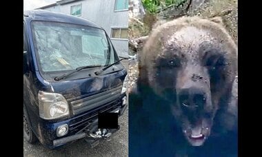 【恐怖】ヒグマに襲われ「軽トラ」”ボコボコ” …山菜採りの男性 九死に一生…猛スピードで追いかけてくるクマ「来た！やばい」北海道根室市の林道