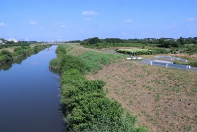 豊かな「半自然」残る見沼田んぼ　道路建設計画に専門家ら警鐘