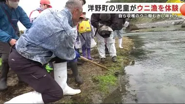 ウニ漁を児童が体験　自ら収穫のウニを殻むきし、味わう　地元の海で育てる漁業を学ぶ＜岩手・洋野町＞