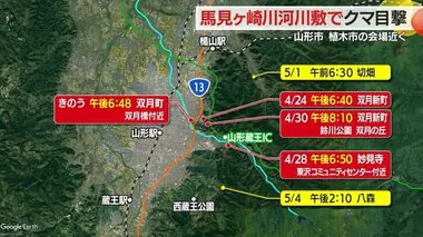 住宅地に近い馬見ヶ崎川河川敷でクマ目撃・人目避けるため日が暮れてから活動の可能性　山形