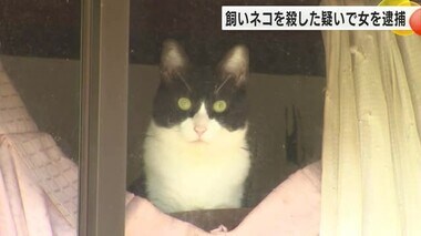 自宅で9匹飼う…飼い猫1匹を刺し殺したか 25歳無職の女を逮捕 ほかにも1匹が死んだ状態で見つかる