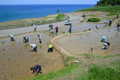 「自分たちの宝物」　世界農業遺産の棚田で田植え始まる　能登で被災