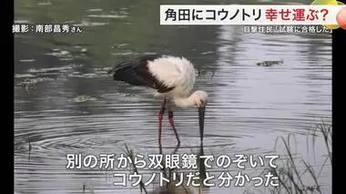 幸せ運ぶ？特別天然記念物「コウノトリ」角田市内に飛来〈宮城〉