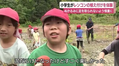 「とてつもなくでかいレンコンに…」小学生が植え付けを体験…成長した10月ごろには収穫体験も予定　静岡