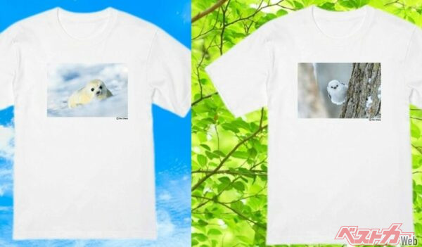 可愛すぎてごめんなさい!! ベストカー特製Tシャツは[小原 玲さんの癒し系動物写真]ってマジか!?