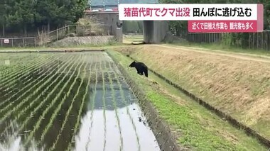 猪苗代町の道の駅近くの田んぼにクマが出没　警察が観光客や付近の住民に注意呼びかけ