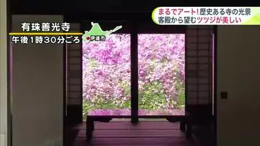 【北海道の天気 5/20(月)】歴史ある花寺で今だけ楽しめる日本の美！客殿の障子越しに鮮やかなヨドカワツツジ