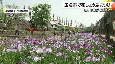 玉名市で『高瀬裏川花しょうぶまつり』多くの人で賑わう【熊本】