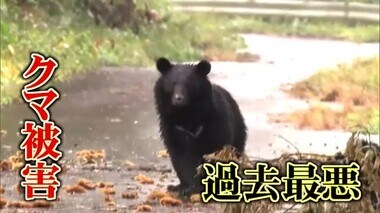 一時は絶滅の危機も近年は増加…深刻化するクマ被害 「カケルサンイン」山陰両県の対策は