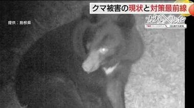 相次ぐクマ被害 一時絶滅の危機も過去最多に増加…どうする！？保護か駆除かで揺れる対応策（島根）