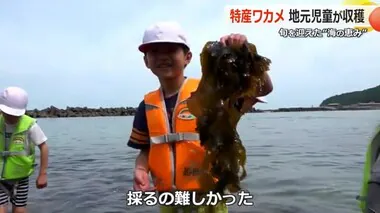 “海の恵み”しっかり感じて　福井市越廼小の児童がワカメ収穫体験　乾燥させ岐阜県の小学生にプレゼントも