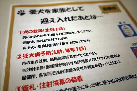 狂犬病「世界では毎年5万5千人が犠牲に」 沖縄の予防接種52.2%　8年連続で全国ワースト