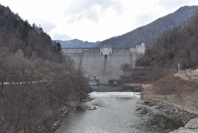 河川が増水すると魚や生き物はどこに行く？　正しかった定説