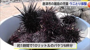 「うに丼を食べたい」唐津市の離島高島にある小学校で付近の磯場でウニ採り体験【佐賀県】