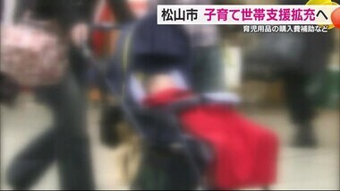 松山市が補正予算案を発表　出産世帯への支援拡充や水不足問題に対応【愛媛】