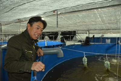 山の中でエビ養殖　退路断った50歳「村の誇り、育てたい」　福島