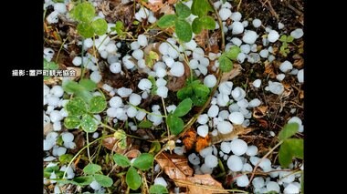 天気急変 ゲリラ雷雨に「ひょう」も　14日 都心で2024年一番の暑さ