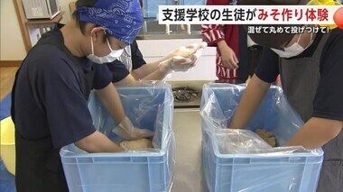 混ぜて丸めて投げつけて！　支援学校の生徒が「みそ作り」を体験　秋田・大仙市