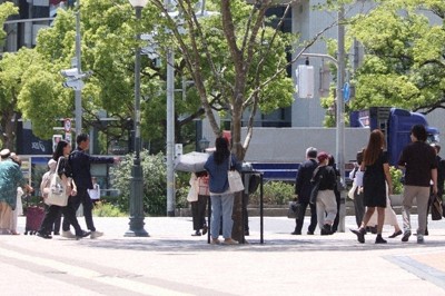 街に涼める木陰を作ろう　神戸、六甲山の木を繁華街に移植　猛暑対応