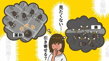 ゴキブリを“巣ごと駆除”ってどういうこと？部屋で大量の死骸を見ることはない？駆除エサ剤への疑問をアース製薬に聞いた