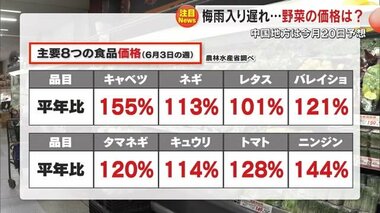 中国地方の梅雨入り遅れで野菜の収穫が順調も…価格再び高騰？家計への工夫を売り場のプロに聞く【岡山】