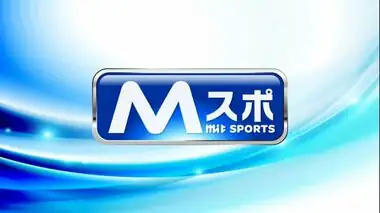 花巻東が１０年ぶり決勝進出　青森山田を２－０で破る　春の高校野球東北大会