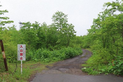 クマ人身被害の捜索中に隊員がタケノコ採り　消防本部が注意　秋田