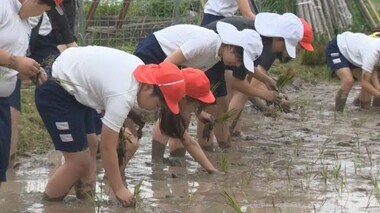 「永ちゃん田んぼ」の田植えでコメの大切さ感じて…地元小学生が仕上げて準備万端【岡山・美作市】