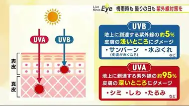 「光老化」防ぐために重要な紫外線対策　曇りや雨の日も油断禁物　日焼け止めは状況に応じて使い分け