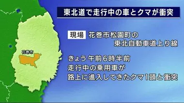 東北道で走行中の車がクマと衝突　体長１メートルのクマが路上に進入　ドライバーにけがなし　岩手・花巻市