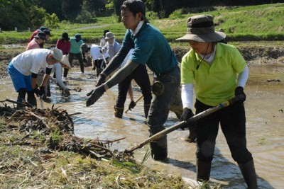 荒廃田んぼ、目指す復活　東京の地域団体、新潟に「通い農」