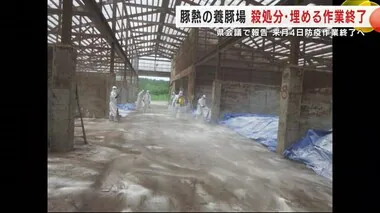 豚熱の養豚場　殺処分・埋める作業終了　７月４日防疫作業終了へ　岩手・洋野町