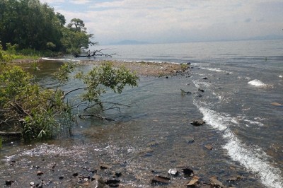 「1人では作れないだろう」　琵琶湖に道、周辺住民から疑問の声