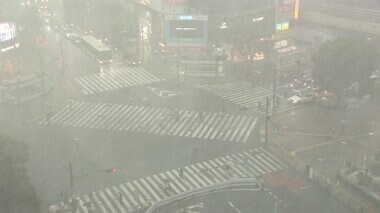 激しい雨に雷鳴が響き…関東を中心に大気の状態が非常に不安定になり各地でゲリラ豪雨が発生