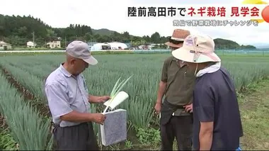 気仙地域で本格野菜栽培にチャレンジ　陸前高田市で野菜栽培の見学会　岩手県