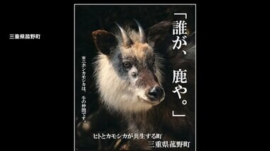 【独自】カメラの前に埼玉のカモシカが！廃棄野菜食べ姿消す…イチゴやナスに被害も天然記念物のため猟友会手が出せず