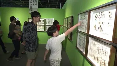 秋田県立博物館で「世界の昆虫展」始まる 　秋田